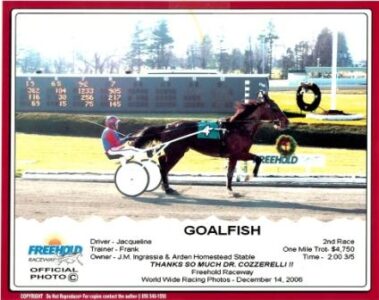 Goalfish