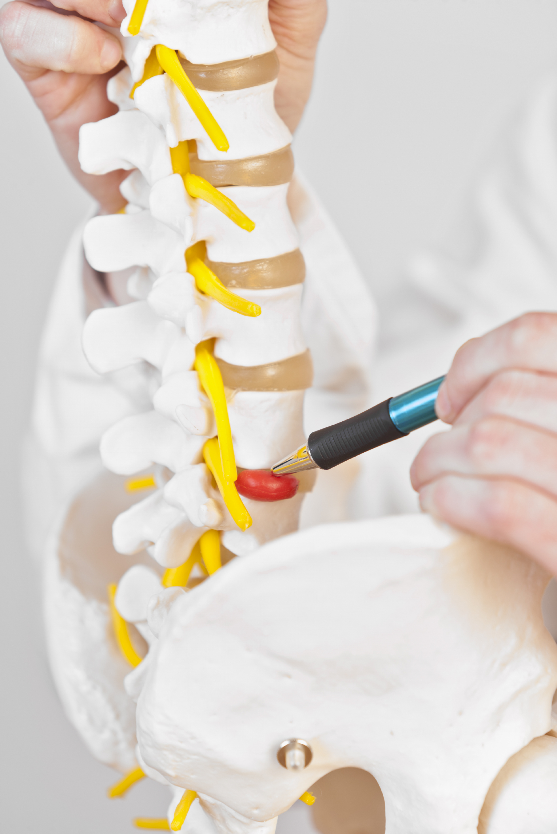 Spine Care Sports Medicine Services Aosmi