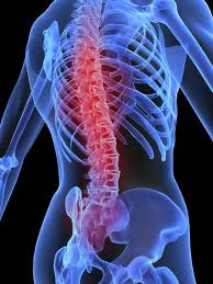 Tips to keep your spine health and prevent sports injuries.