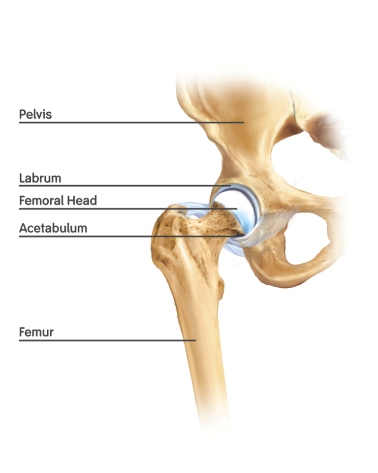 Direct Anterior Approach Total Hip Replacement Surgery