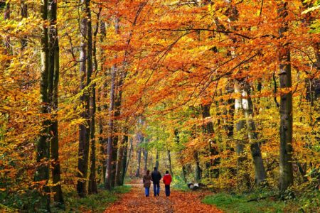 Five Ways To Have A Healthier Thanksgiving