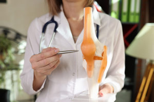 Medical provider wearing white coat and stethoscope pointing to model of human knee joint