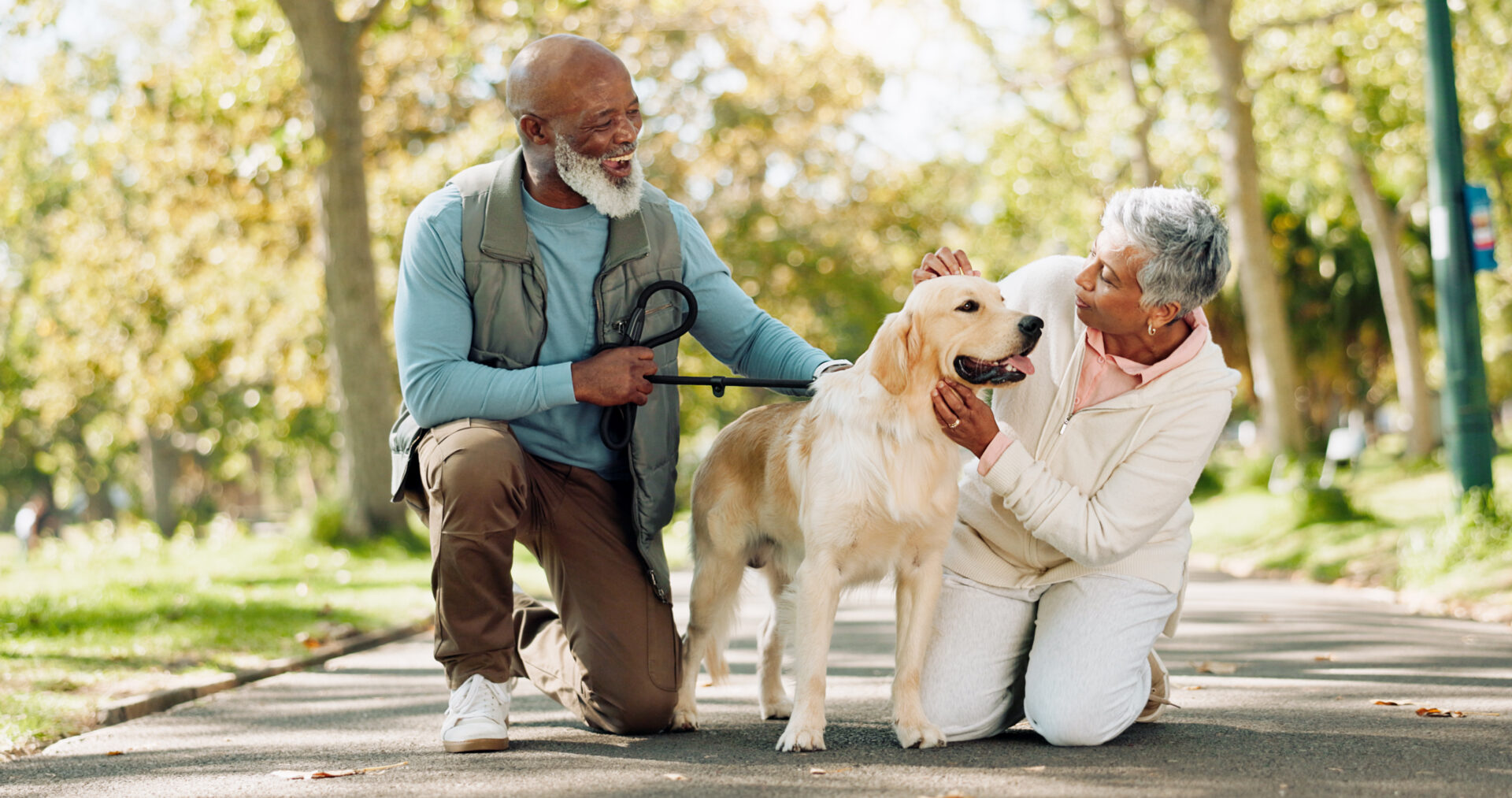 Senior husband and wife and pet Labrador dog outdoor on walk together for group exercise in park. Both elderly individuals have recovered from anterior approach to total hip replacement surgery