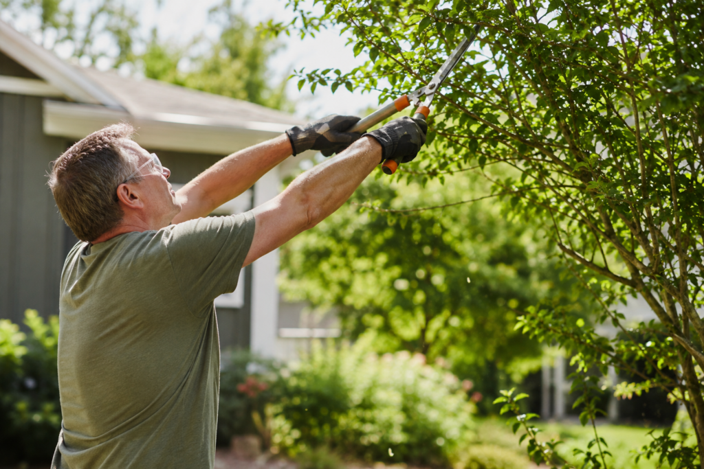 Shoulder Pain After Overhead Yard Work Adult trimming branches overhead during yard work with focus on possible shoulder strain